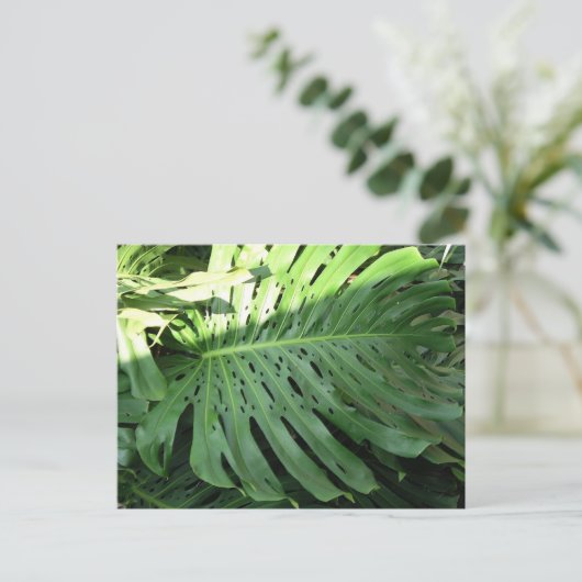 Hawaiian Elephant Ear Plant Briefkaart (Staand voorkant)