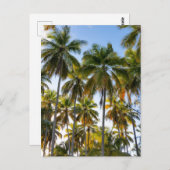 Hawaiian Exotic Beach Palm Trees Briefkaart (Voorkant / Achterkant)