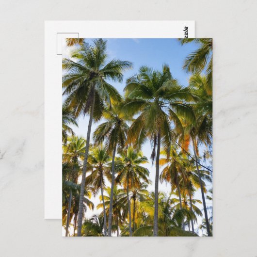 Hawaiian Exotic Beach Palm Trees Briefkaart (Voorkant / Achterkant)