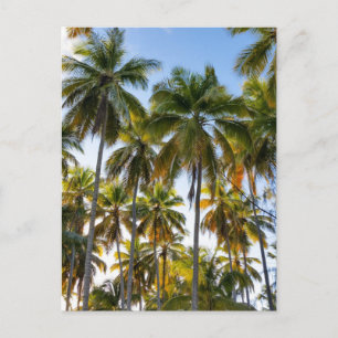 Hawaiian Exotic Beach Palm Trees Briefkaart