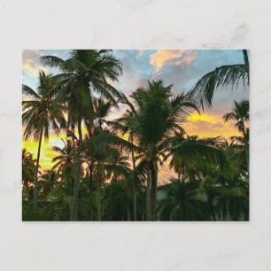 Hawaiian Exotic Beach Palm Trees Briefkaart