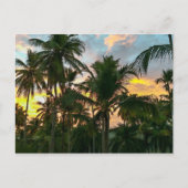 Hawaiian Exotic Beach Palm Trees Briefkaart (Voorkant)