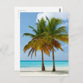 Hawaiian Exotic Beach Palm Trees Briefkaart (Voorkant / Achterkant)