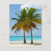 Hawaiian Exotic Beach Palm Trees Briefkaart (Voorkant)