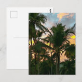 Hawaiian Exotic Beach Palm Trees Briefkaart (Voorkant / Achterkant)