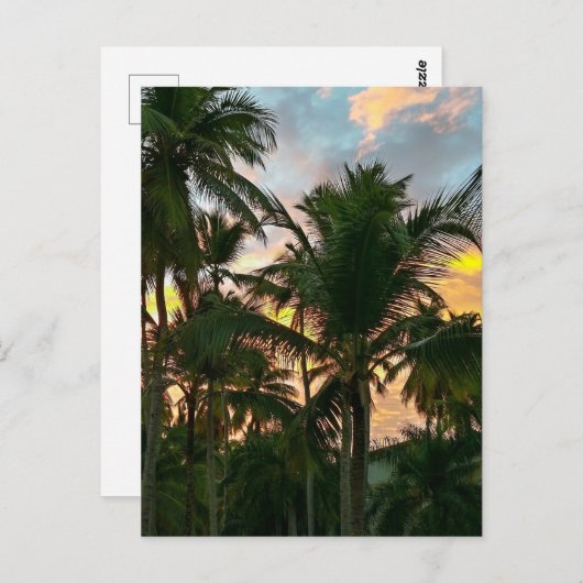 Hawaiian Exotic Beach Palm Trees Briefkaart (Voorkant / Achterkant)