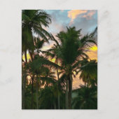 Hawaiian Exotic Beach Palm Trees Briefkaart (Voorkant)