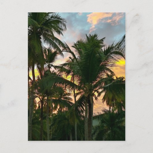 Hawaiian Exotic Beach Palm Trees Briefkaart (Voorkant)