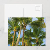 Hawaiian Exotic Beach Palm Trees Briefkaart (Voorkant / Achterkant)