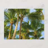 Hawaiian Exotic Beach Palm Trees Briefkaart (Voorkant)