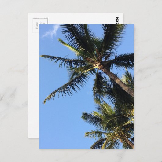 Hawaiian Exotic Beach Palm Trees Briefkaart (Voorkant / Achterkant)