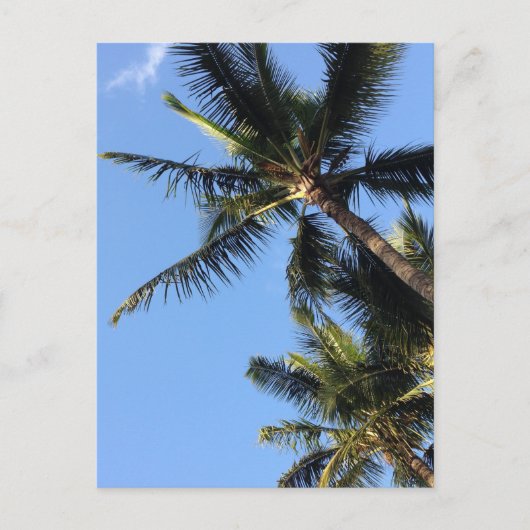 Hawaiian Exotic Beach Palm Trees Briefkaart (Voorkant)