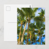 Hawaiian Exotic Beach Palm Trees Briefkaart (Voorkant / Achterkant)
