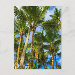 Hawaiian Exotic Beach Palm Trees Briefkaart