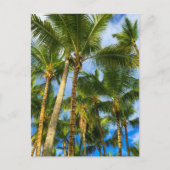 Hawaiian Exotic Beach Palm Trees Briefkaart (Voorkant)