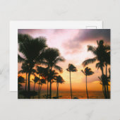 Hawaiian Exotic Beach Palm Trees Briefkaart (Voorkant / Achterkant)
