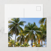 Hawaiian Exotic Beach Palm Trees Briefkaart (Voorkant / Achterkant)