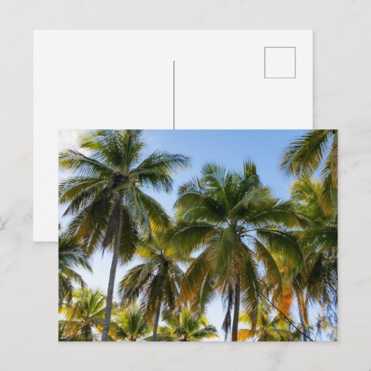 Hawaiian Exotic Beach Palm Trees Briefkaart (Voorkant / Achterkant)