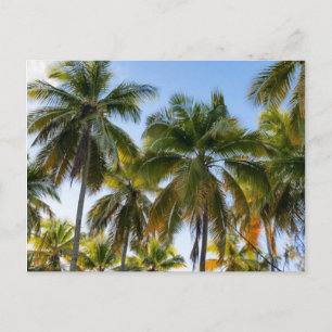 Hawaiian Exotic Beach Palm Trees Briefkaart