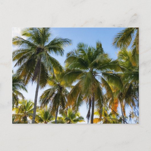 Hawaiian Exotic Beach Palm Trees Briefkaart (Voorkant)