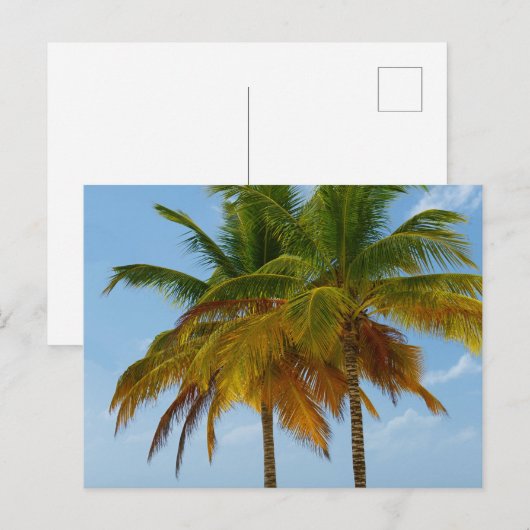 Hawaiian Exotic Beach Palm Trees Briefkaart (Voorkant / Achterkant)