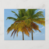 Hawaiian Exotic Beach Palm Trees Briefkaart (Voorkant)