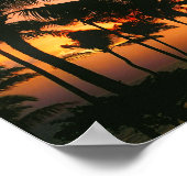 Hawaiian Exotic Beach Palm Trees Poster (Hoek)