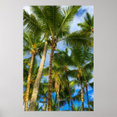 Hawaiian Exotic Beach Palm Trees Poster (Voorkant)