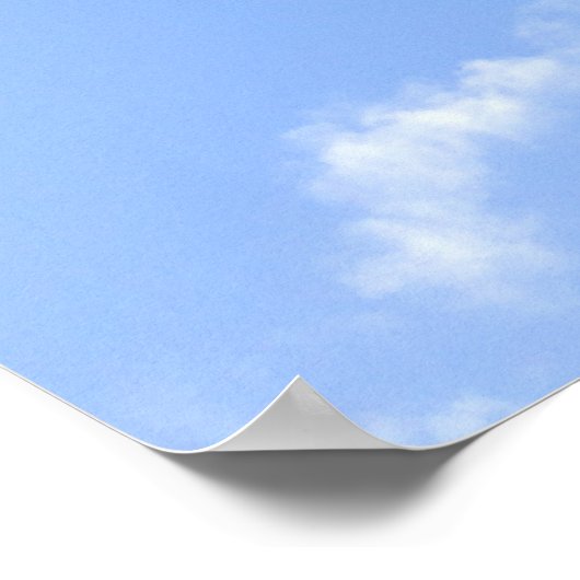 Hawaiian Exotic Beach Palm Trees Poster (Hoek)