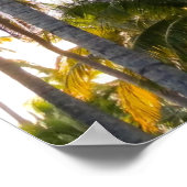 Hawaiian Exotic Beach Palm Trees Poster (Hoek)