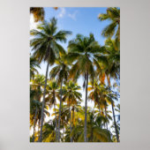 Hawaiian Exotic Beach Palm Trees Poster (Voorkant)