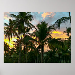 Hawaiian Exotic Beach Palm Trees Poster