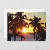 Hawaiian Exotic Beach Palm Trees Sunset Briefkaart (Voorkant / Achterkant)