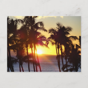 Hawaiian Exotic Beach Palm Trees Sunset Briefkaart