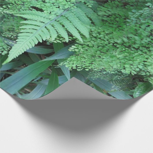 Hawaiian Ferns Cadeaupapier (Hoek)