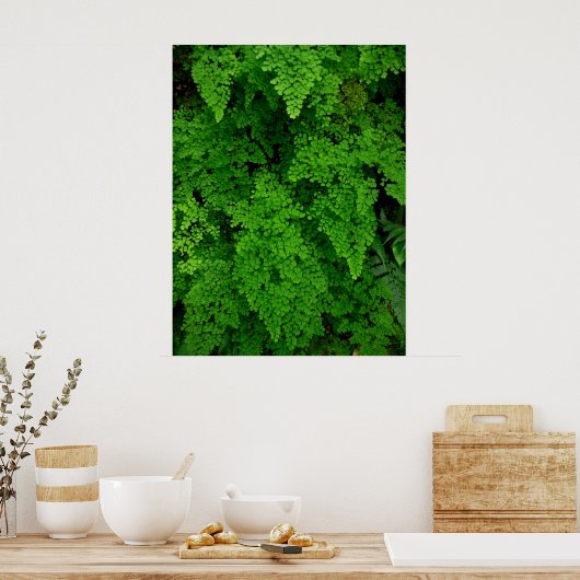 Hawaiian Ferns Poster (Keuken)
