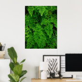 Hawaiian Ferns Poster (Thuiskantoor)
