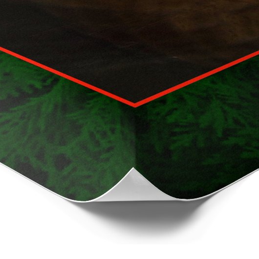 Hawaiian Flame Flowers Poster (Hoek)