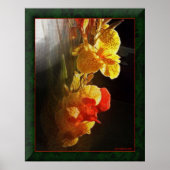Hawaiian Flame Flowers Poster (Voorkant)