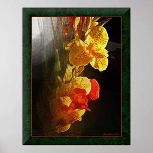 Hawaiian Flame Flowers Poster (Voorkant)