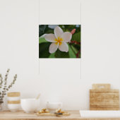 Hawaiian floral poster (Keuken)