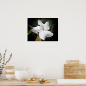 Hawaiian Flower 2 Poster (Keuken)