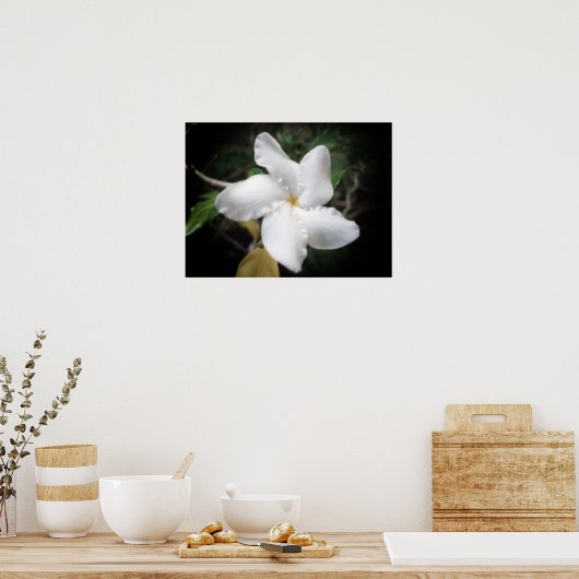 Hawaiian Flower 2 Poster (Keuken)