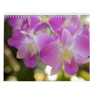 Hawaiian Flower & Orchid Calendar Kalender
