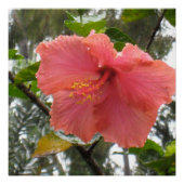 Hawaiian Flower Poster (Voorkant)