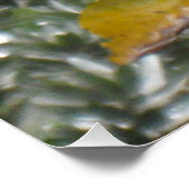 Hawaiian Flower Poster (Hoek)