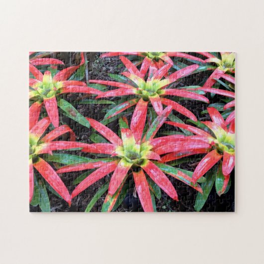 Hawaiian Flower Puzzle Legpuzzel (Horizontaal)