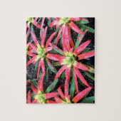 Hawaiian Flower Puzzle Legpuzzel (Verticaal)