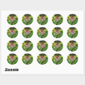 Hawaiian Flower Ronde Sticker (Vel)