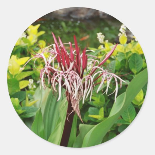 Hawaiian Flower Ronde Sticker (Voorkant)